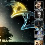 Revistas Digitales: mayo 2017
