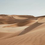 Simbolismo de… el desierto