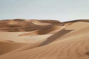 simbolismo desierto