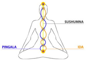 Ida, Pingala y Sushumna