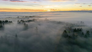 simbolismo de la niebla y las nubes