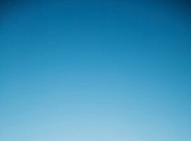 Diógenes y los ricos